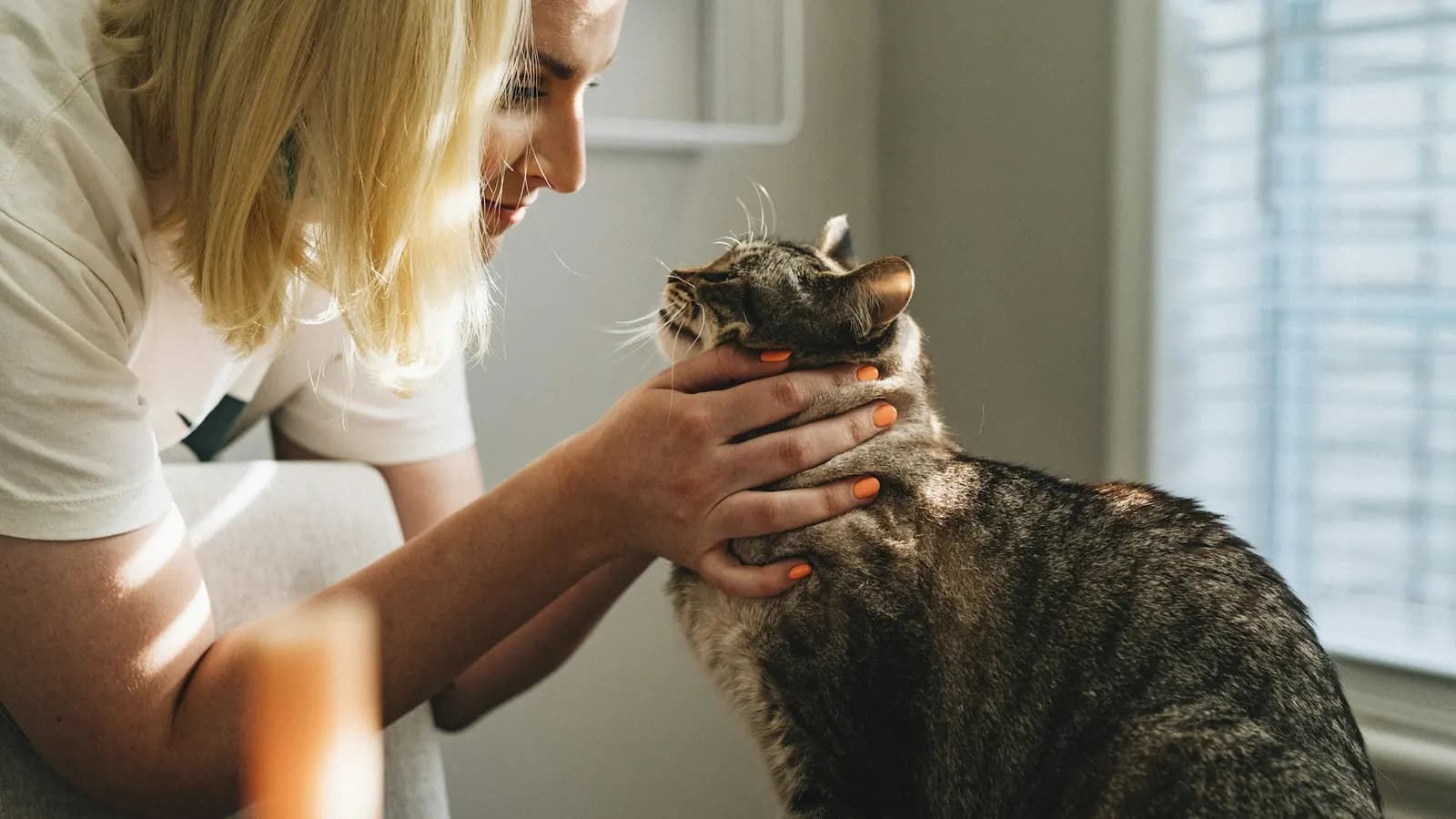 Veterinary practice