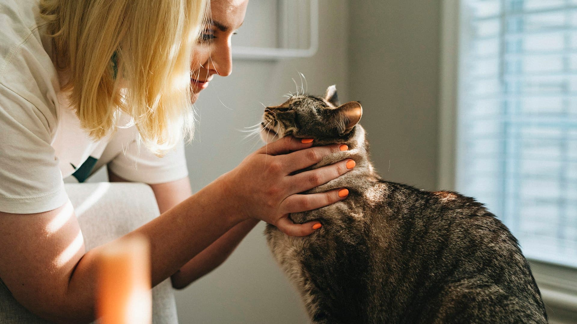 Veterinary Clinics